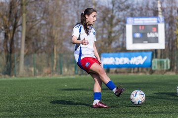Bild 106 - F Hamburger SV 3 - Blau-Weiss 96 : Ergebnis: 5:1
